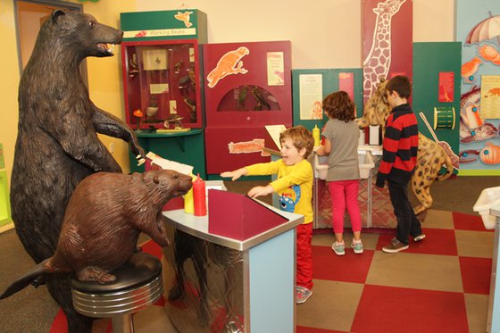 Exhibit Image